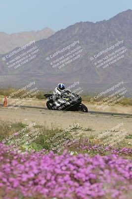 media/Feb-04-2023-SoCal Trackdays (Sat) [[8a776bf2c3]]/Turn 15 Inside Blooming (1050am)/